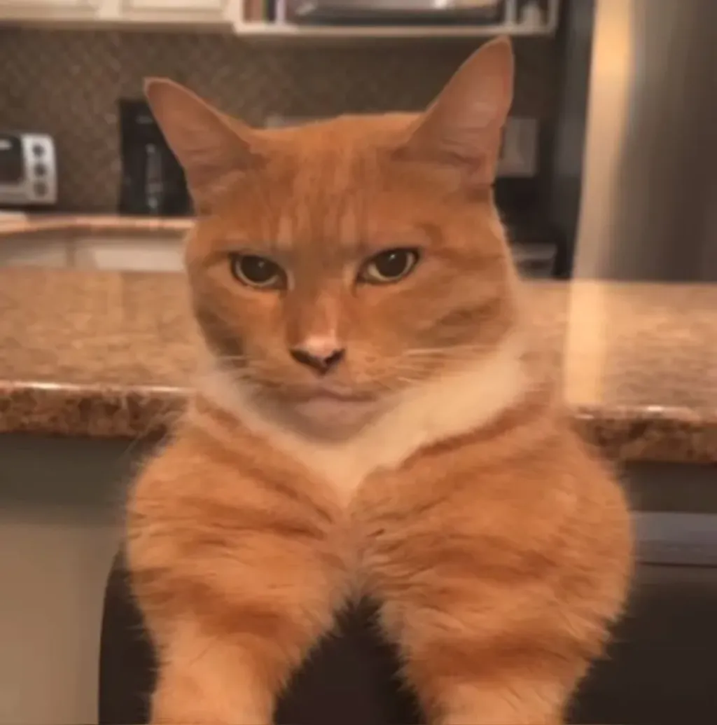 Meme Image