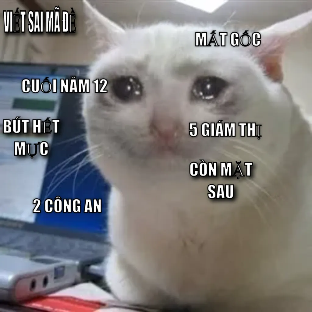 Crying cat