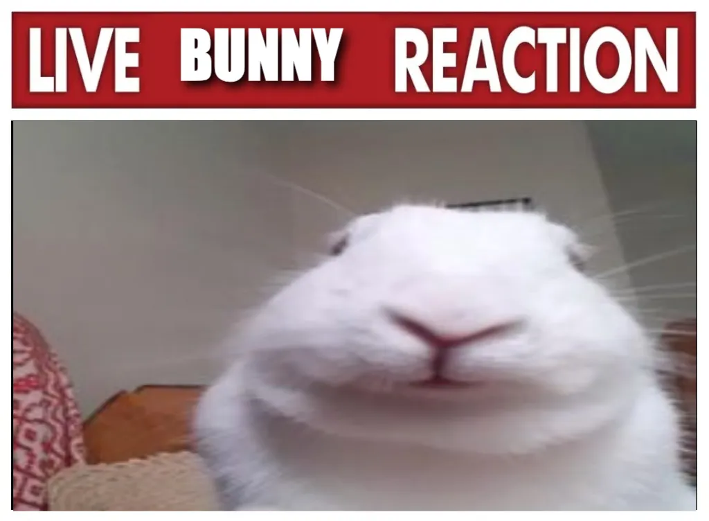 Meme Image
