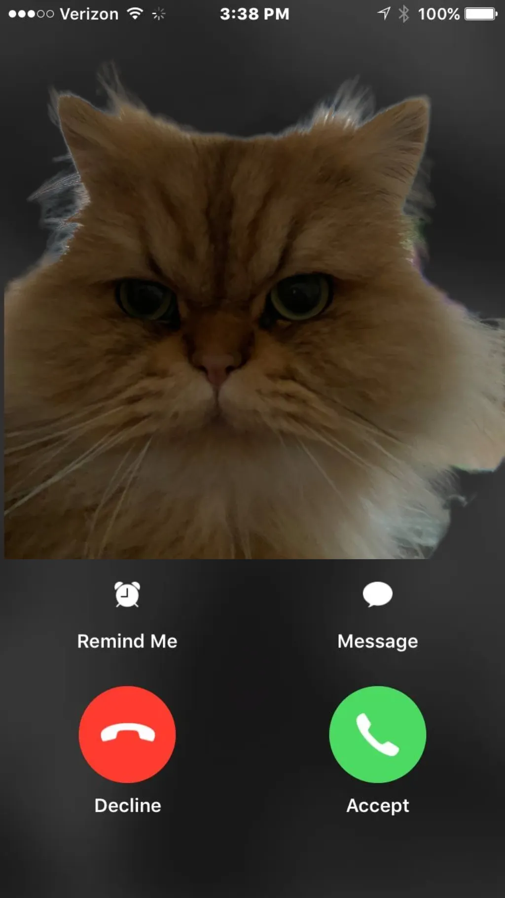 is calling you