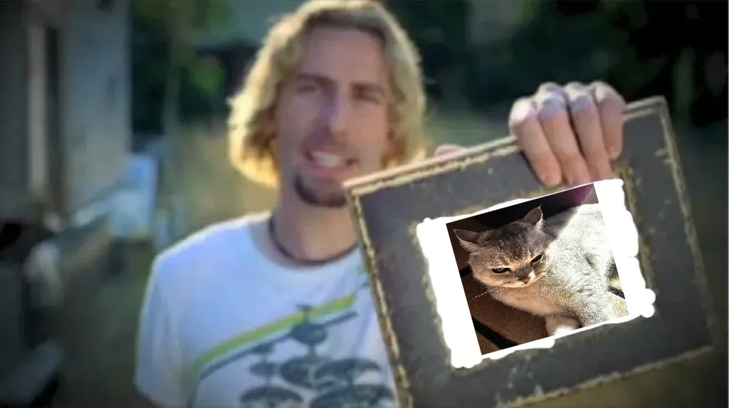 Look at this photograph