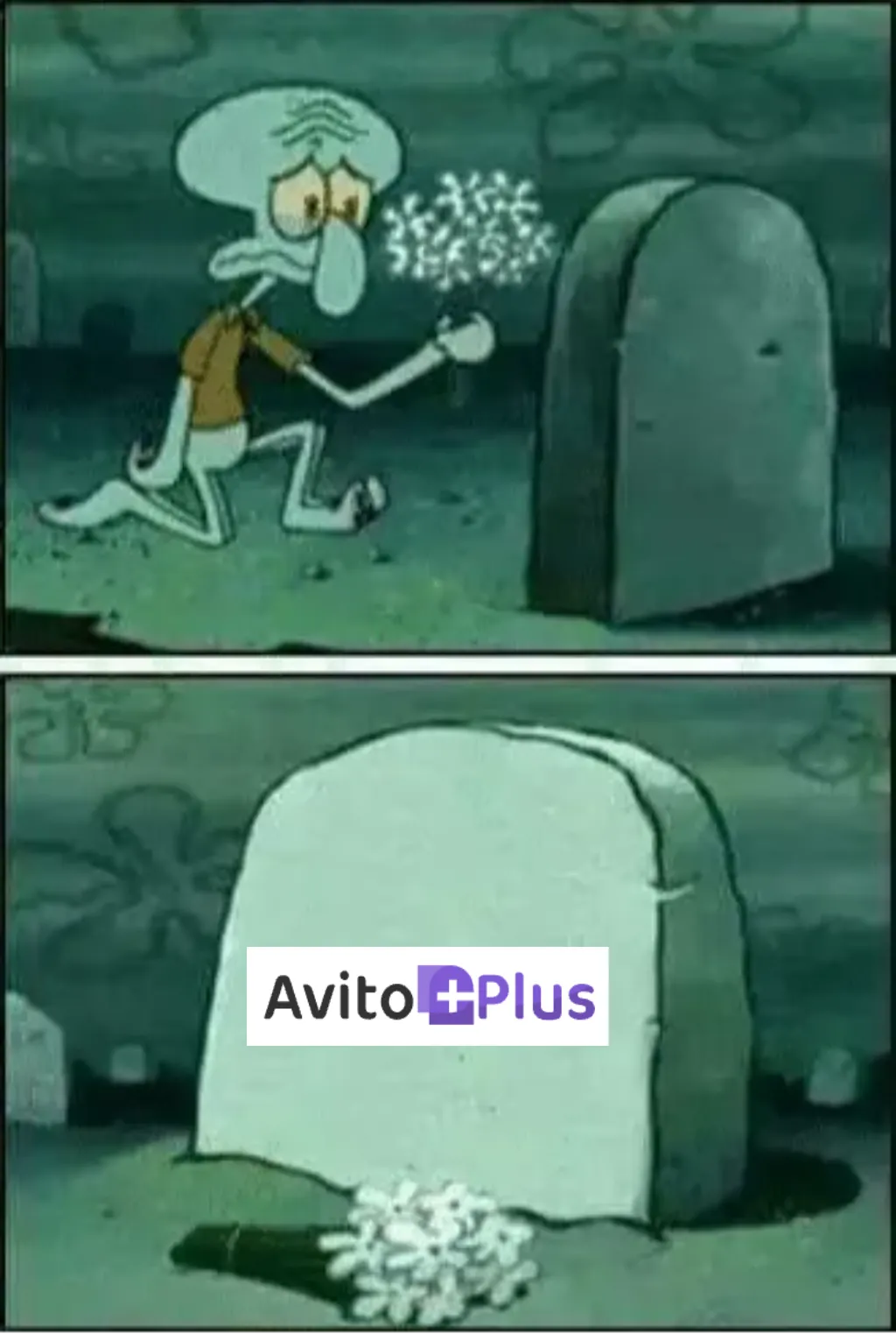 rip 