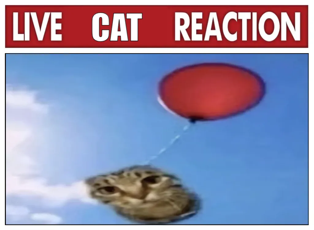 Meme Image