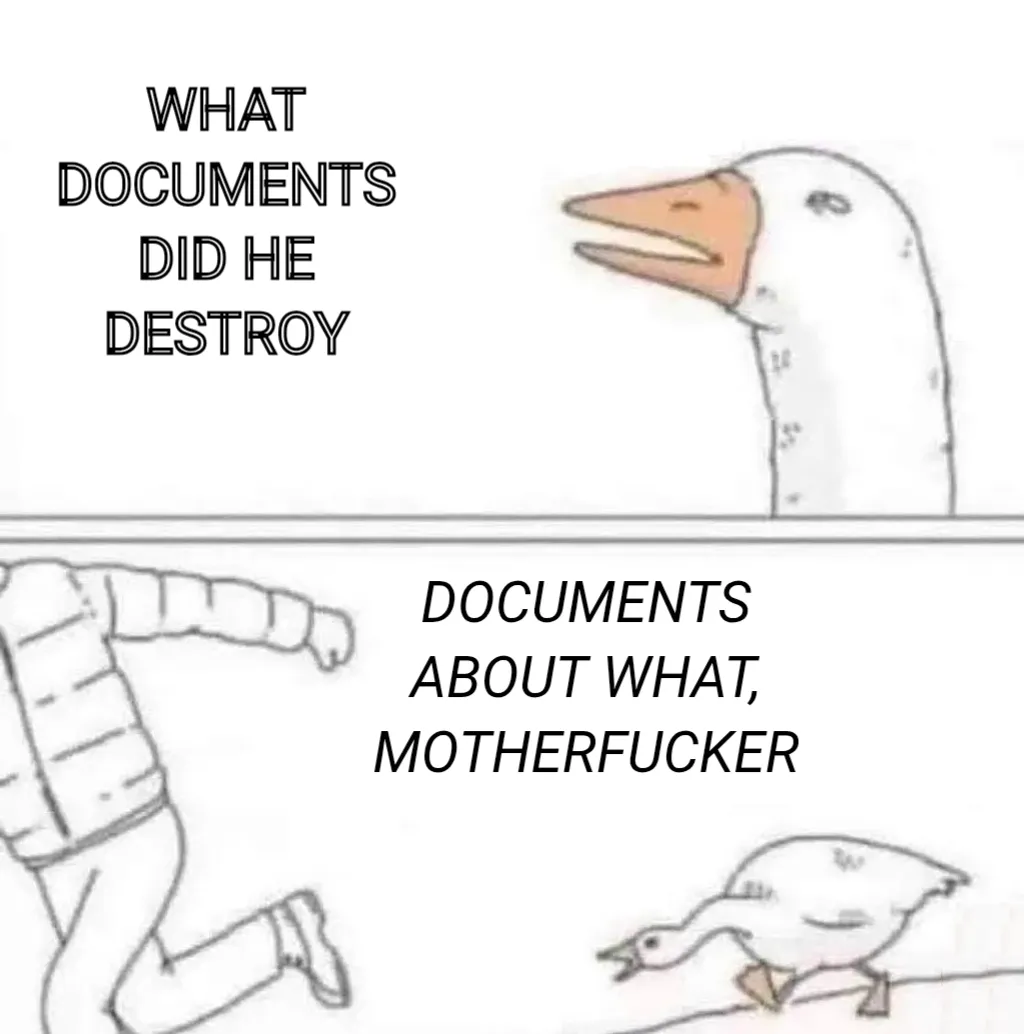 Meme Image