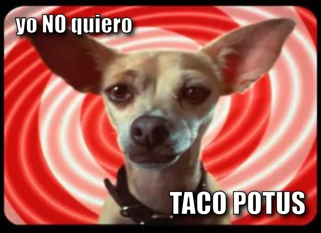 taco bell dog