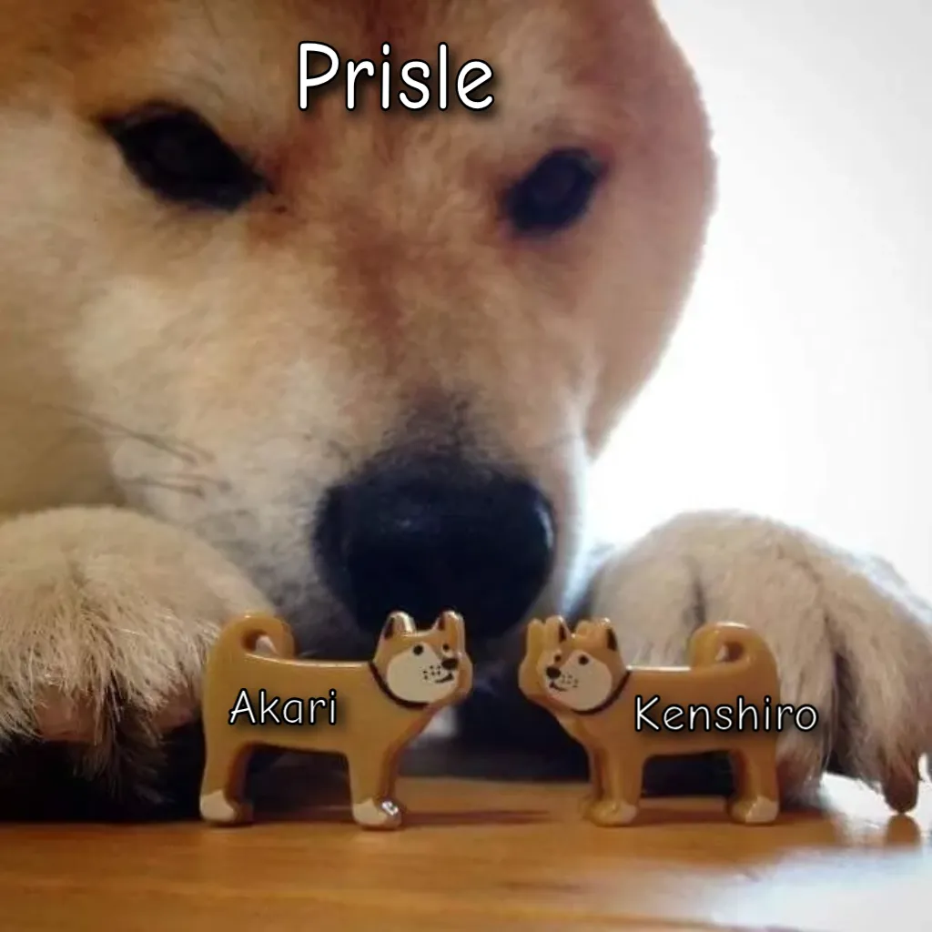 Meme Image