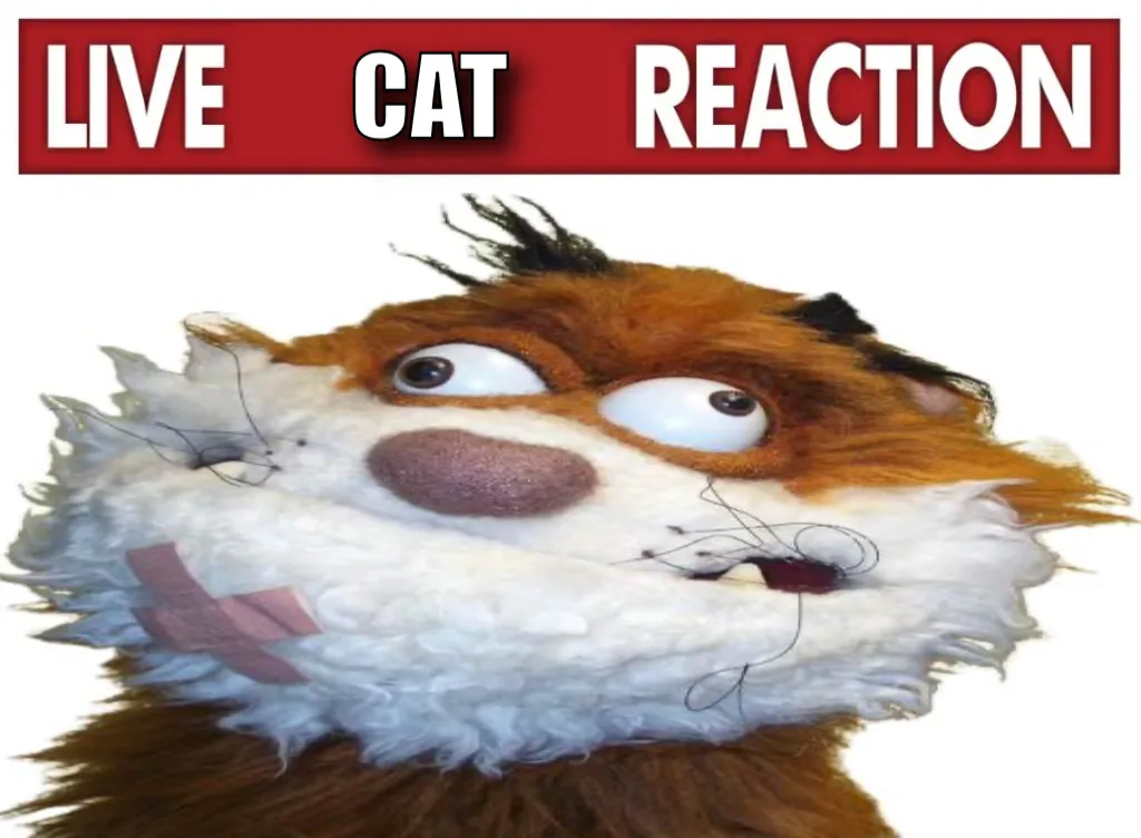 Live reaction