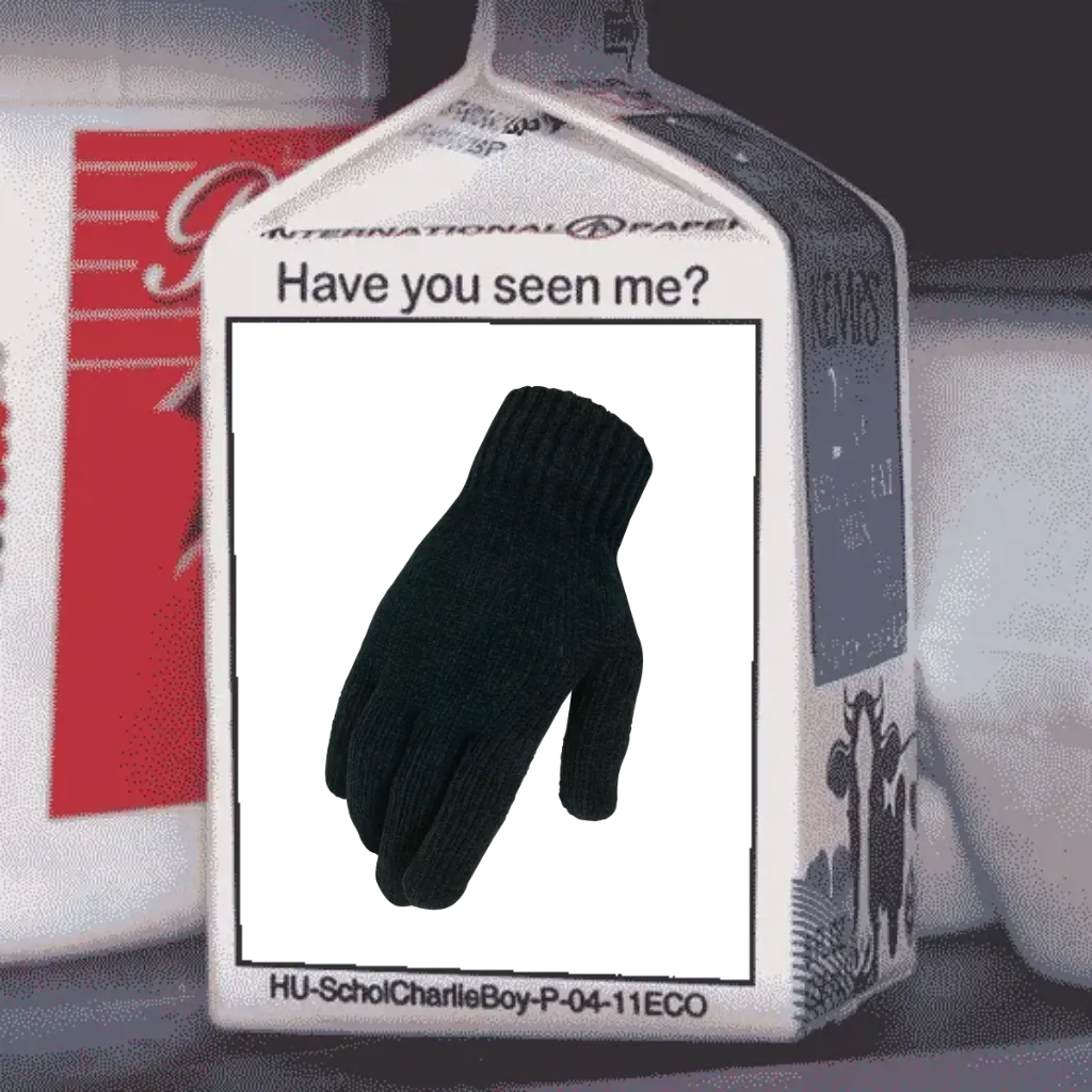 Missing Person