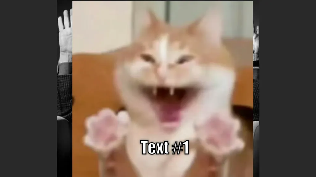 Meme Image