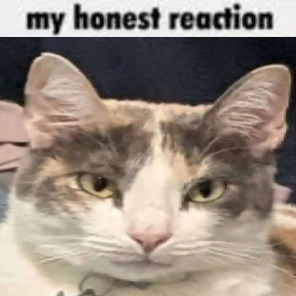 My Honest Reaction
