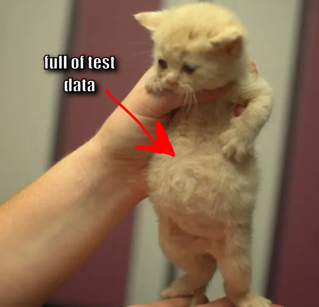 Meme Image