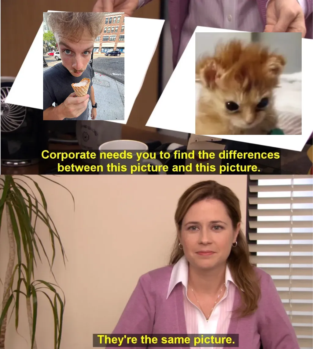 Meme Image