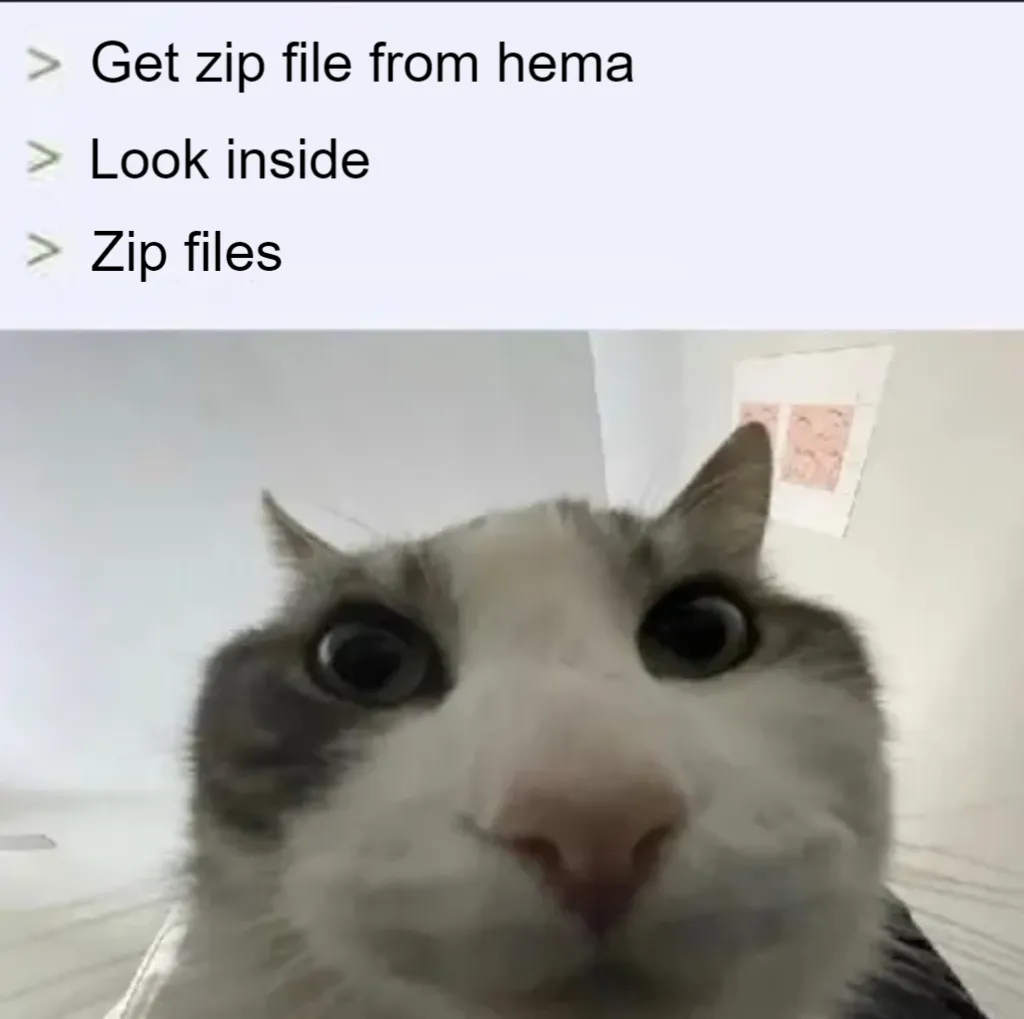 Cat looks inside