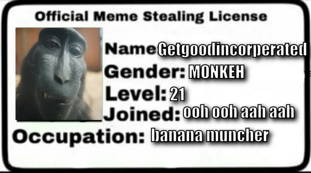Meme Stealing License