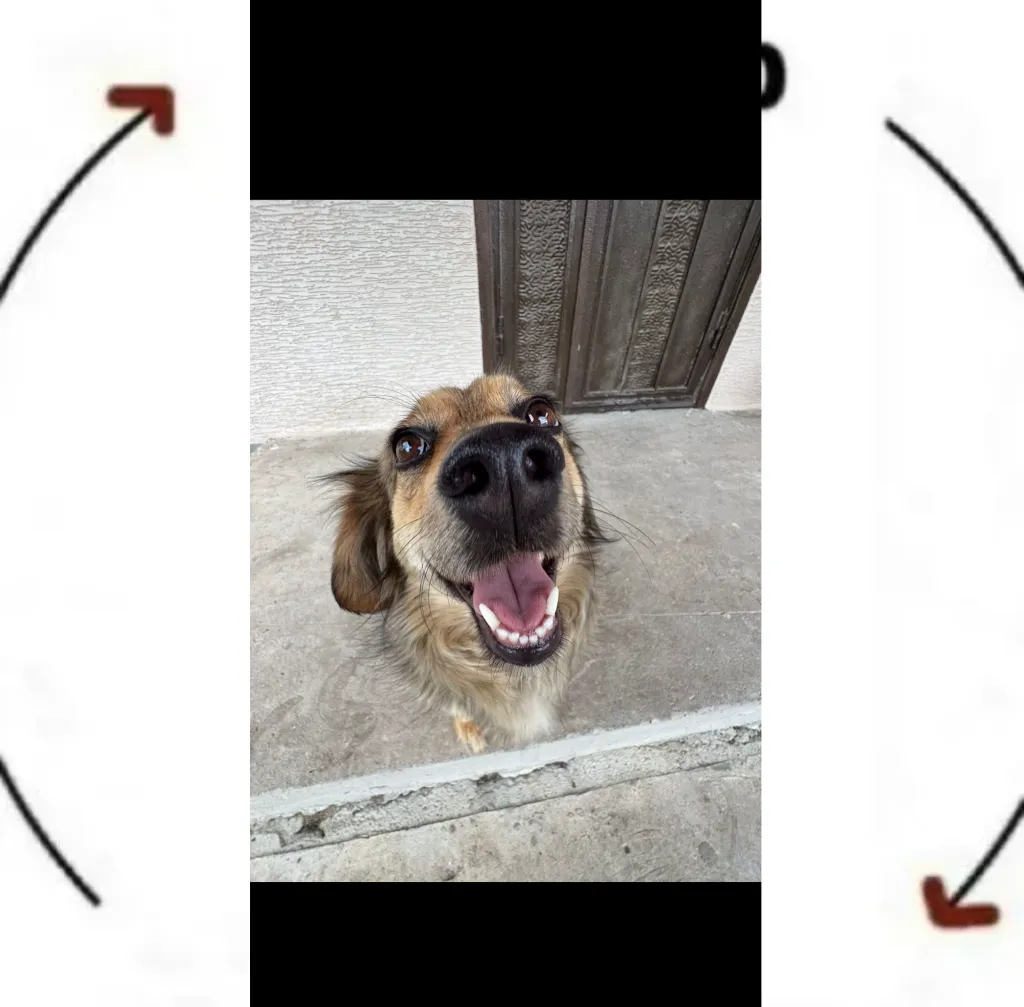 Meme Image