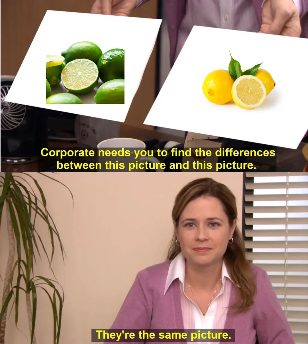 They're The Same Picture