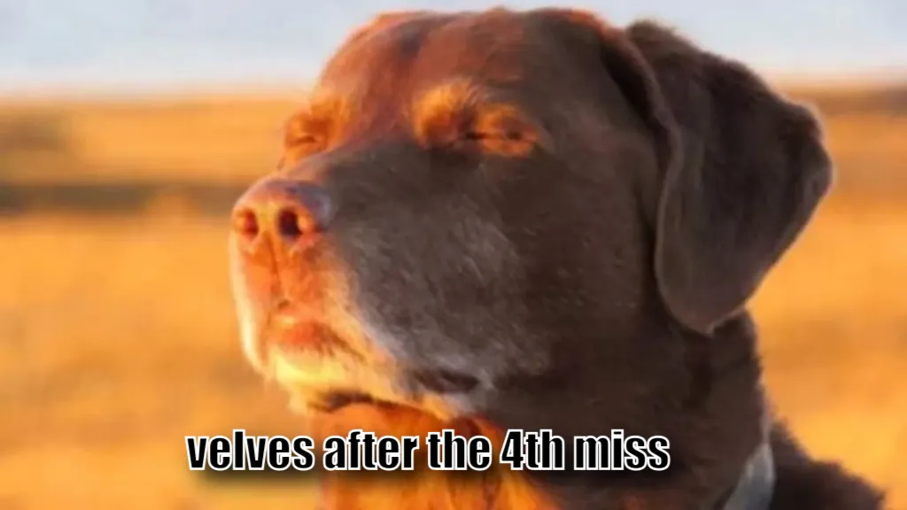 cooked dog