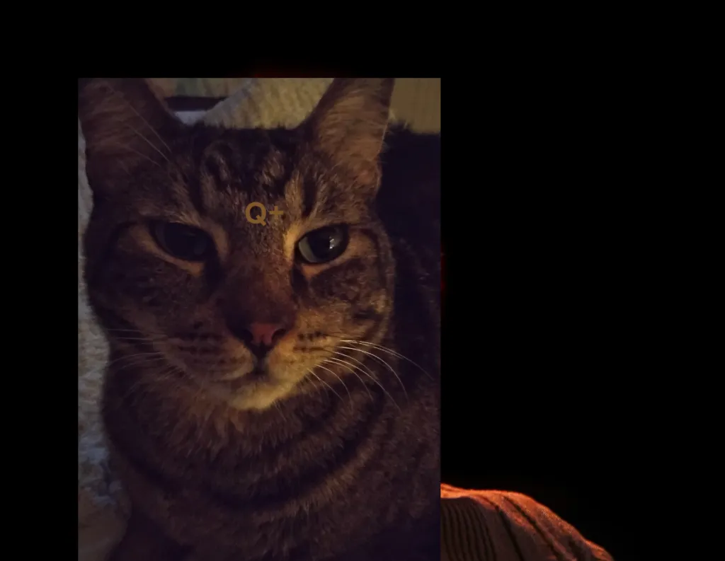 Meme Image