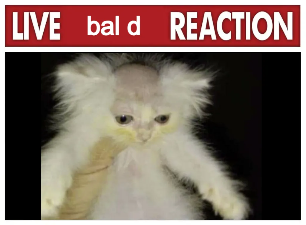 Meme Image