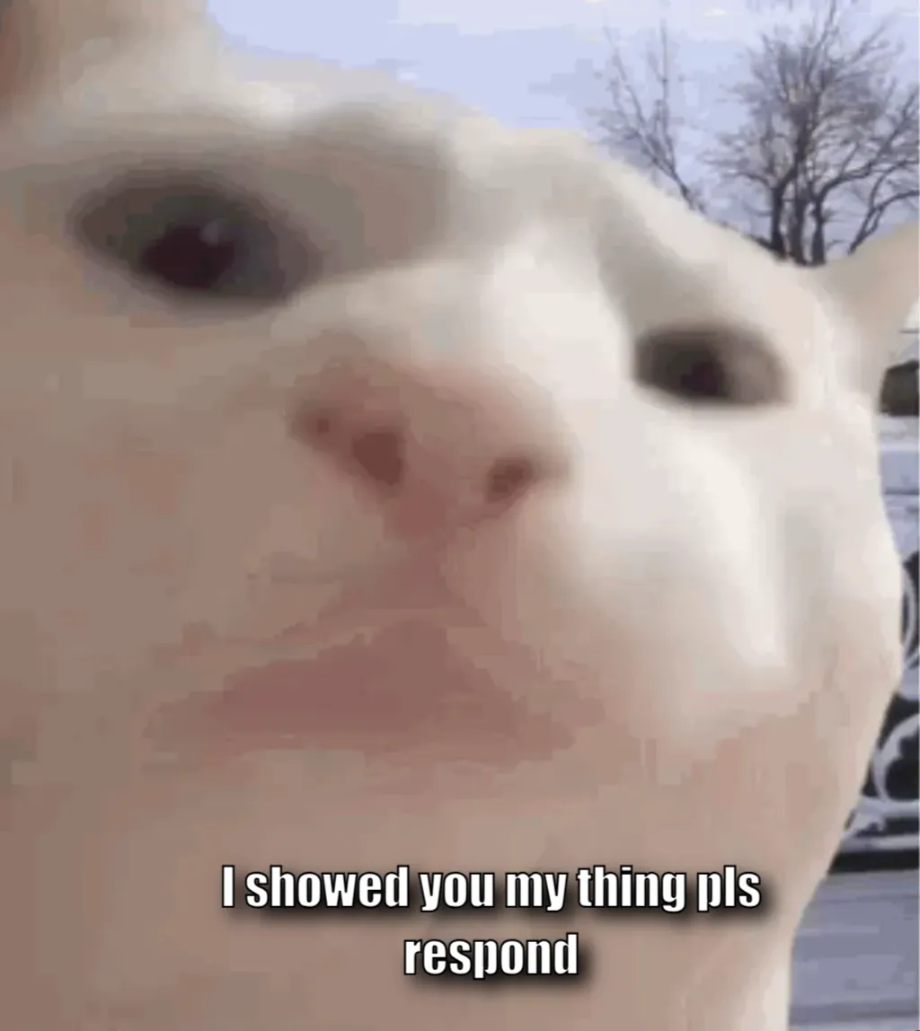 Meme Image