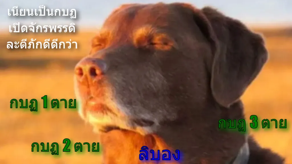 Meme Image