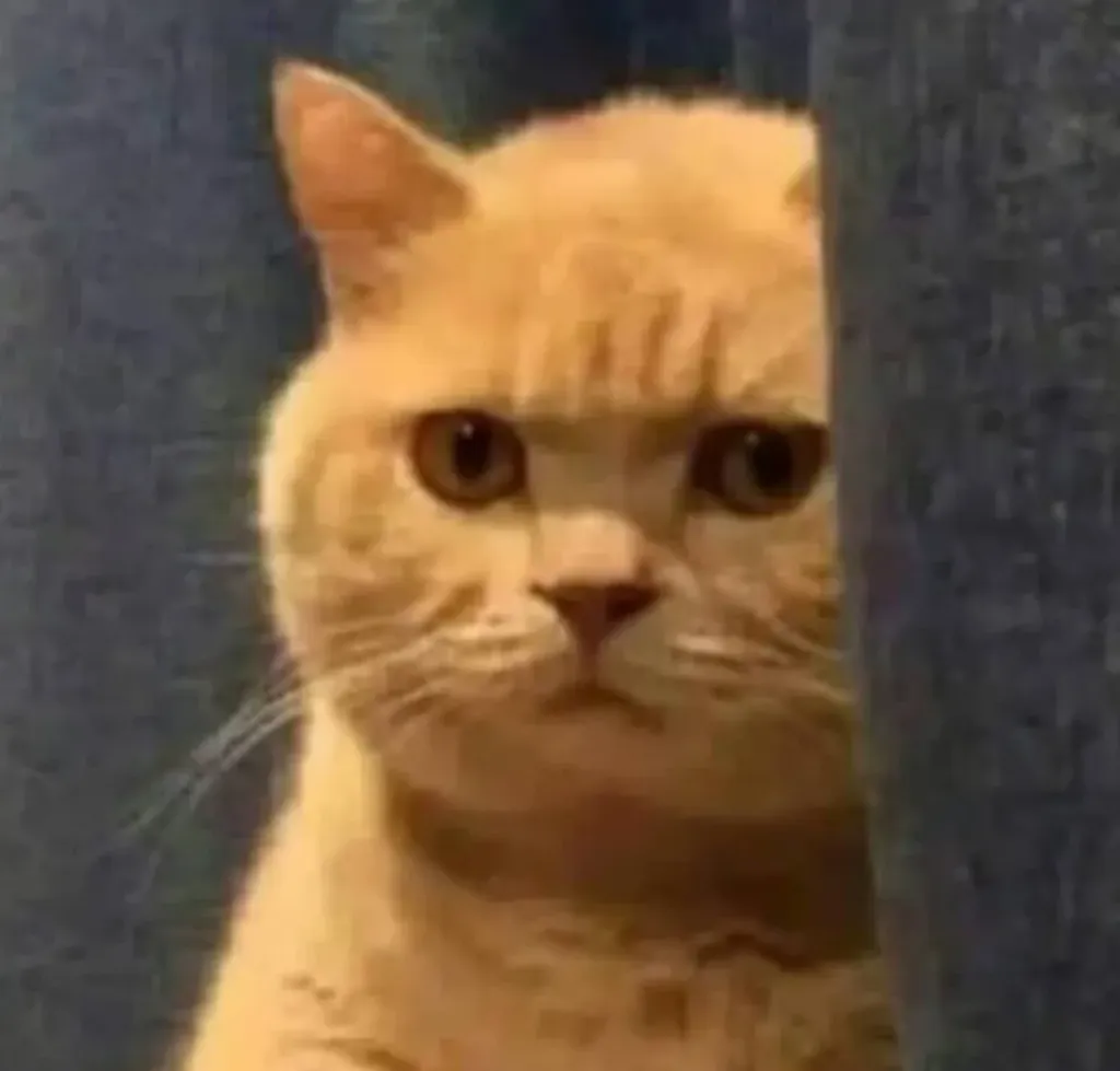 Meme Image