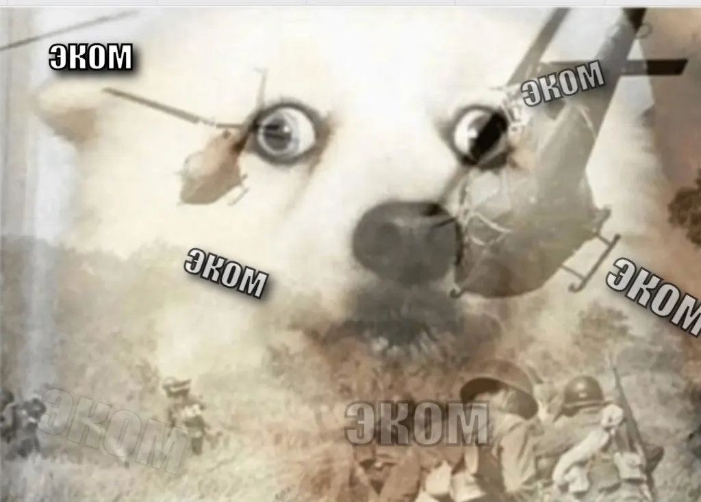 PTSD dog