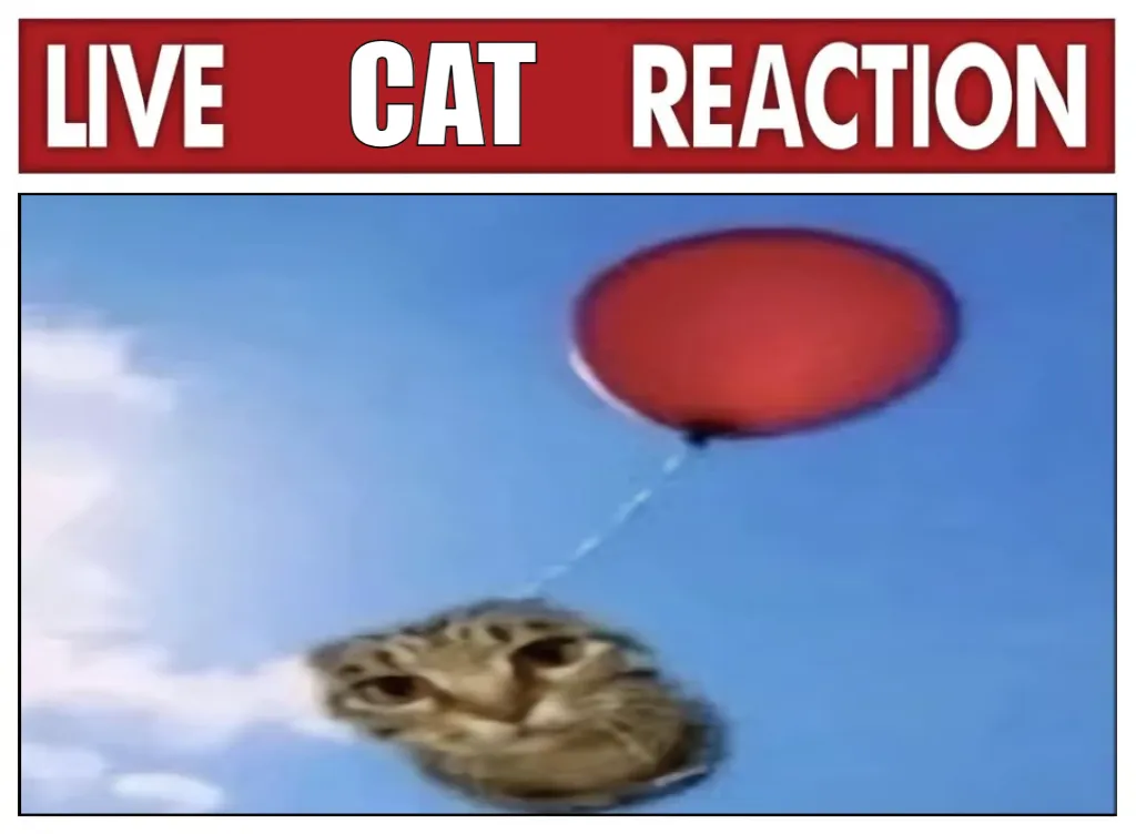 Meme Image