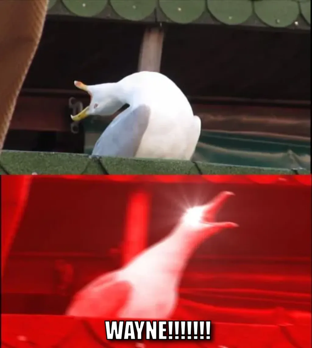 Meme Image