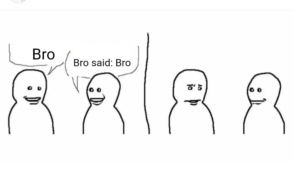 Bro visited his friend