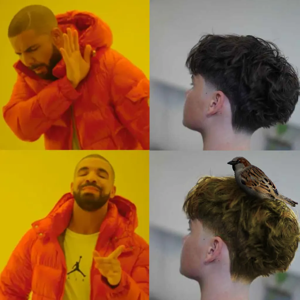 Drake Meme