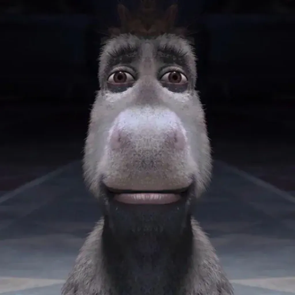 donkey staring