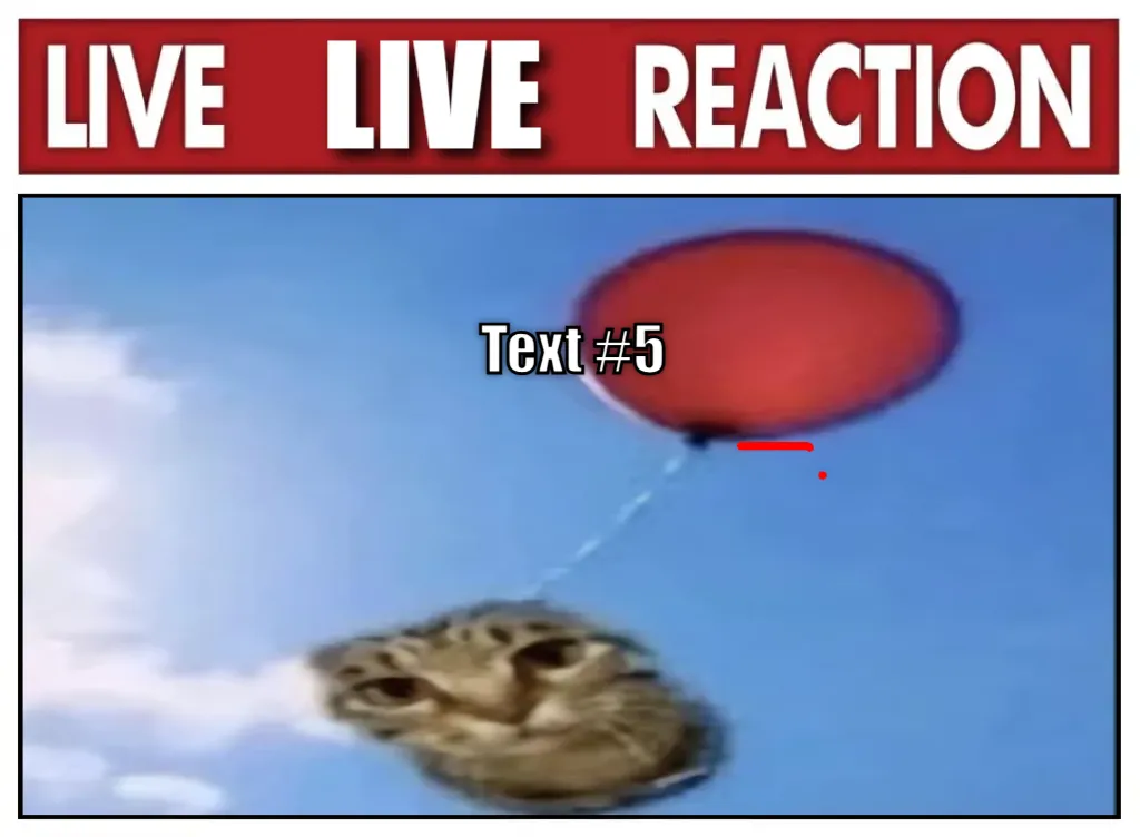 Meme Image
