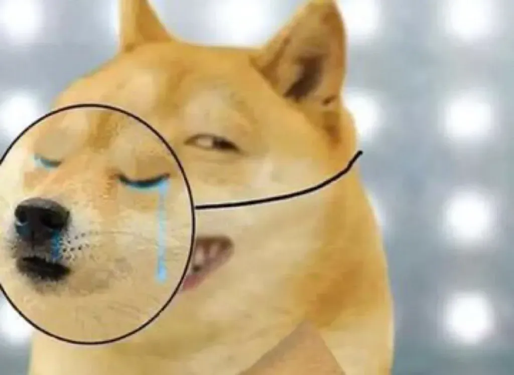 Doge Fake Crying