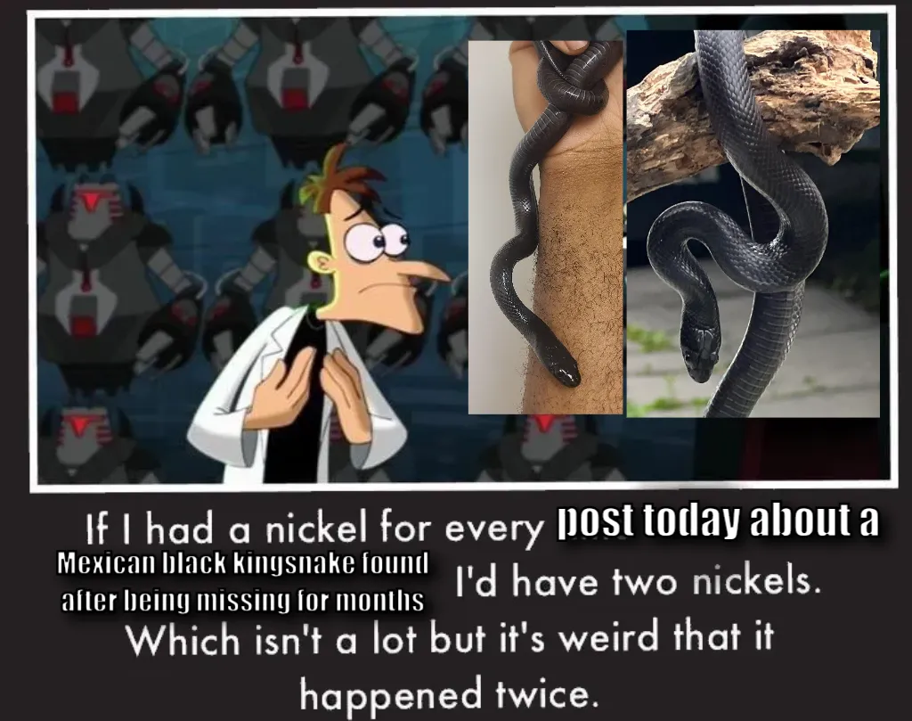 Doof If I had a Nickel