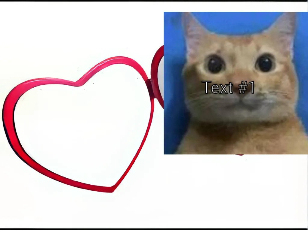 Meme Image