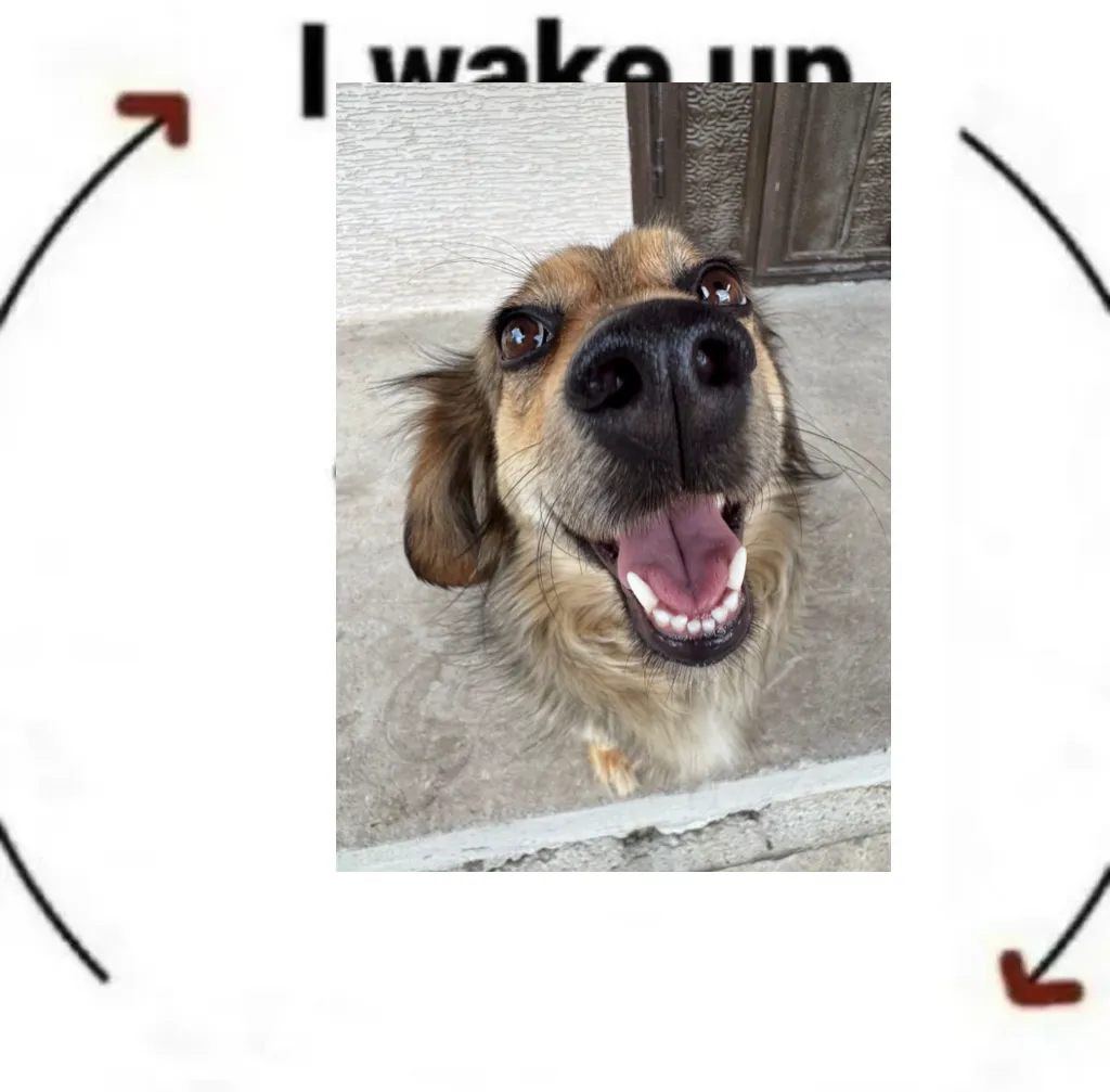 Meme Image
