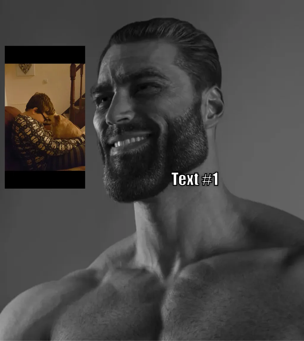 Meme Image