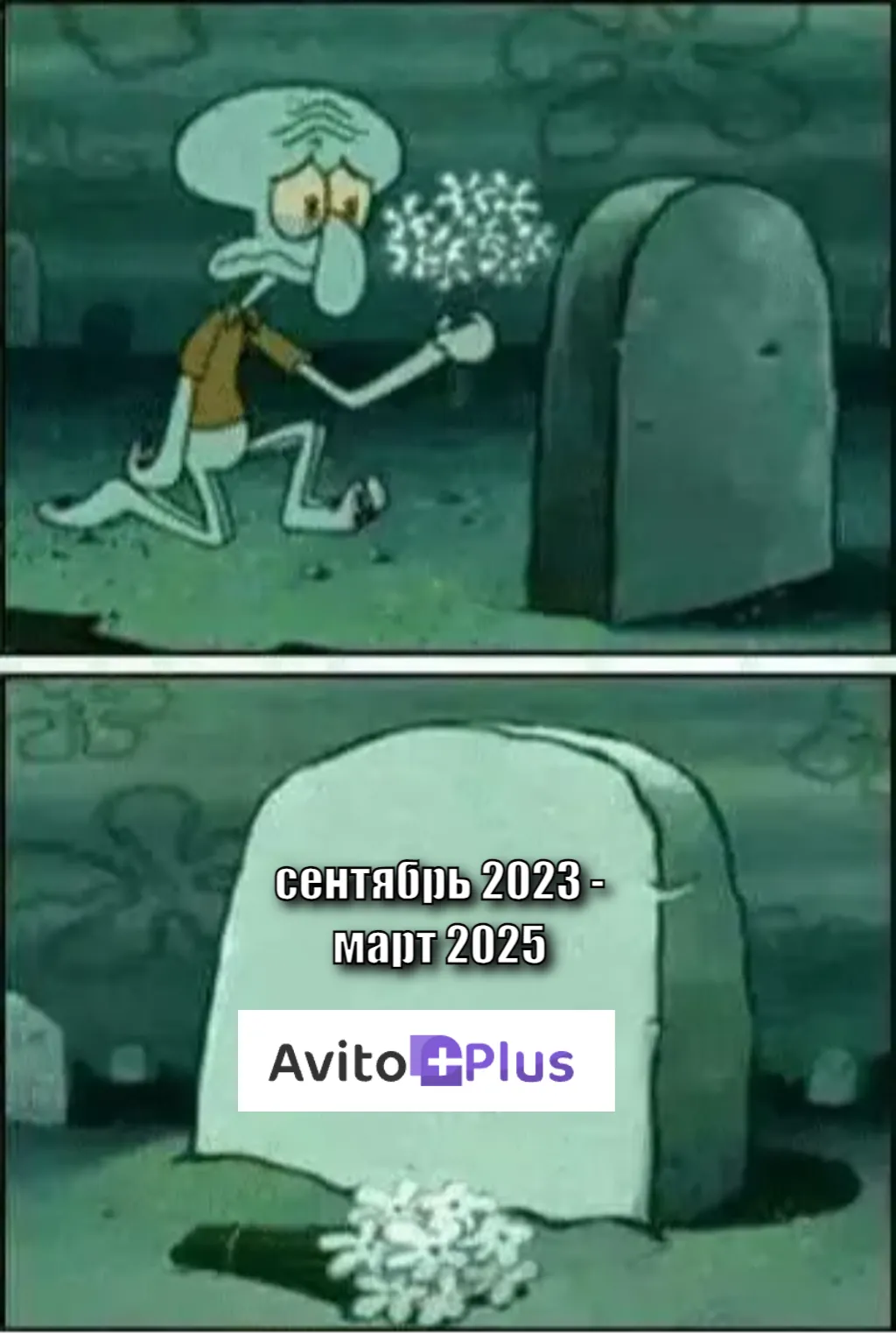 rip 