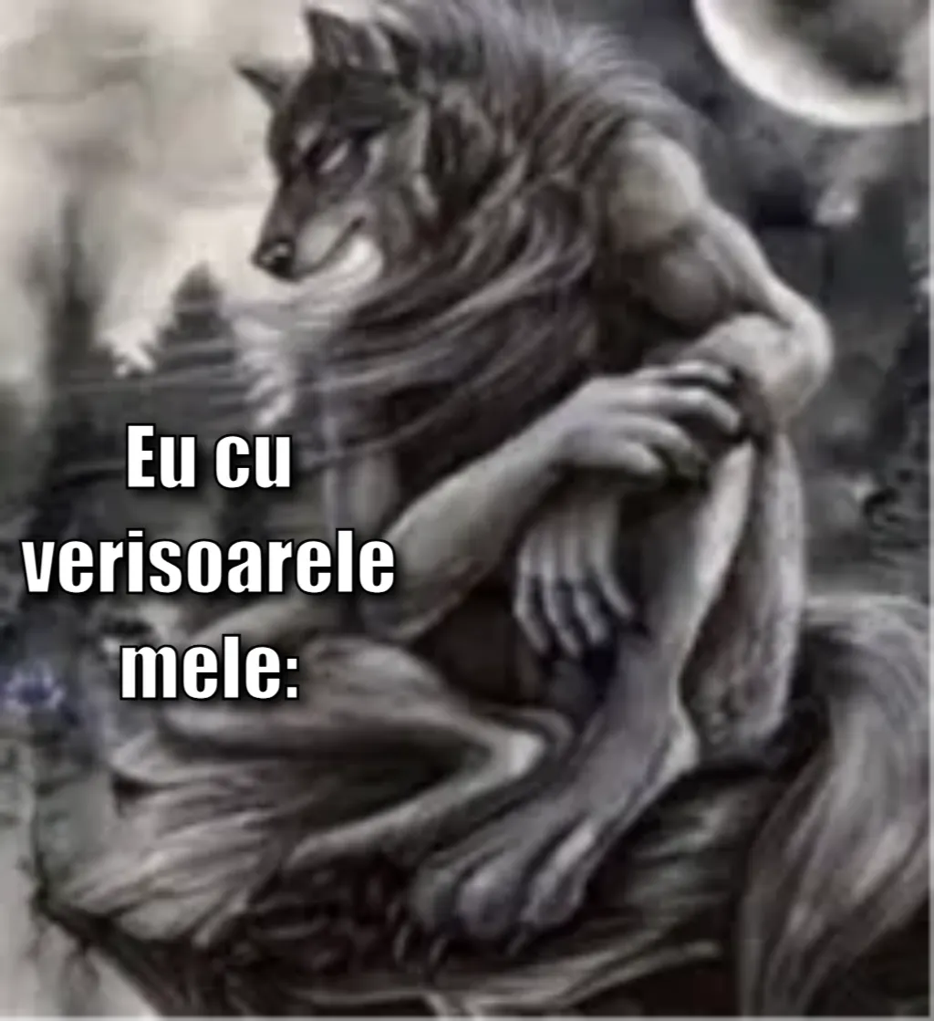 Meme Image