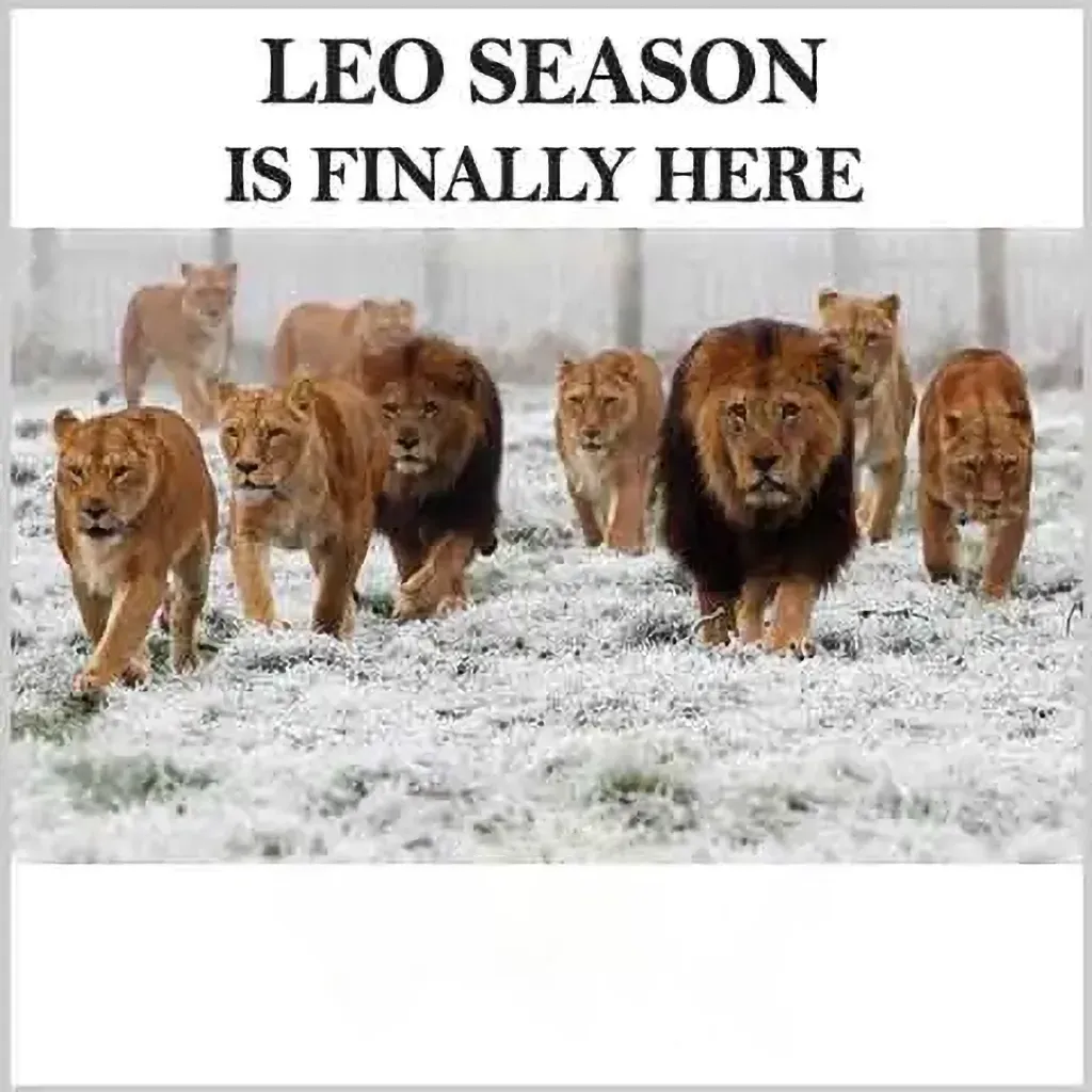 it's leo season