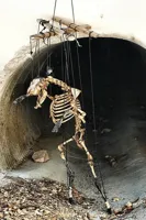 Animal Skeleton Puppet