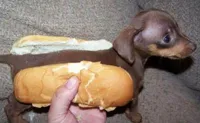 asian hot dog