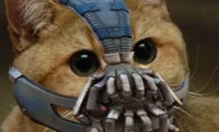 Bane Cat