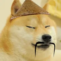 Barkfucius asian Doge Barkfucious