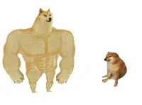 Big dog small dog