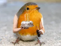 Birthday bird with arms