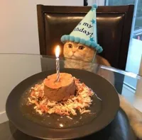 Birthday Cat