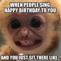 Birthday Monkey