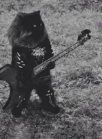 Black Metal Cat